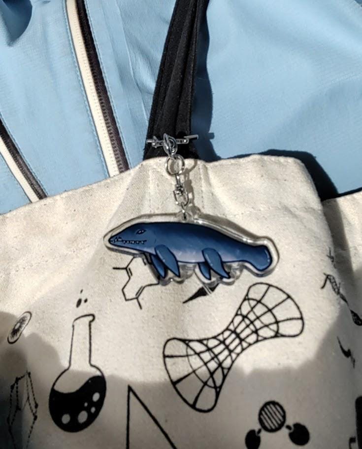 Pliosaur keychain